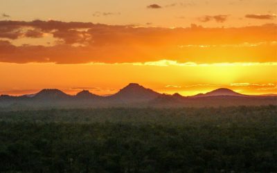 Five ways to get more out of your Safari in Greater Kruger – nDzuti Bush Camp