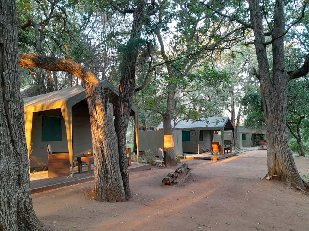 Afternoon sun on the ndzuti safari camp tents.