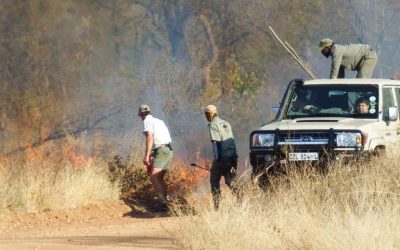 Fire ecology in Maseke-Balule Nature Reserve