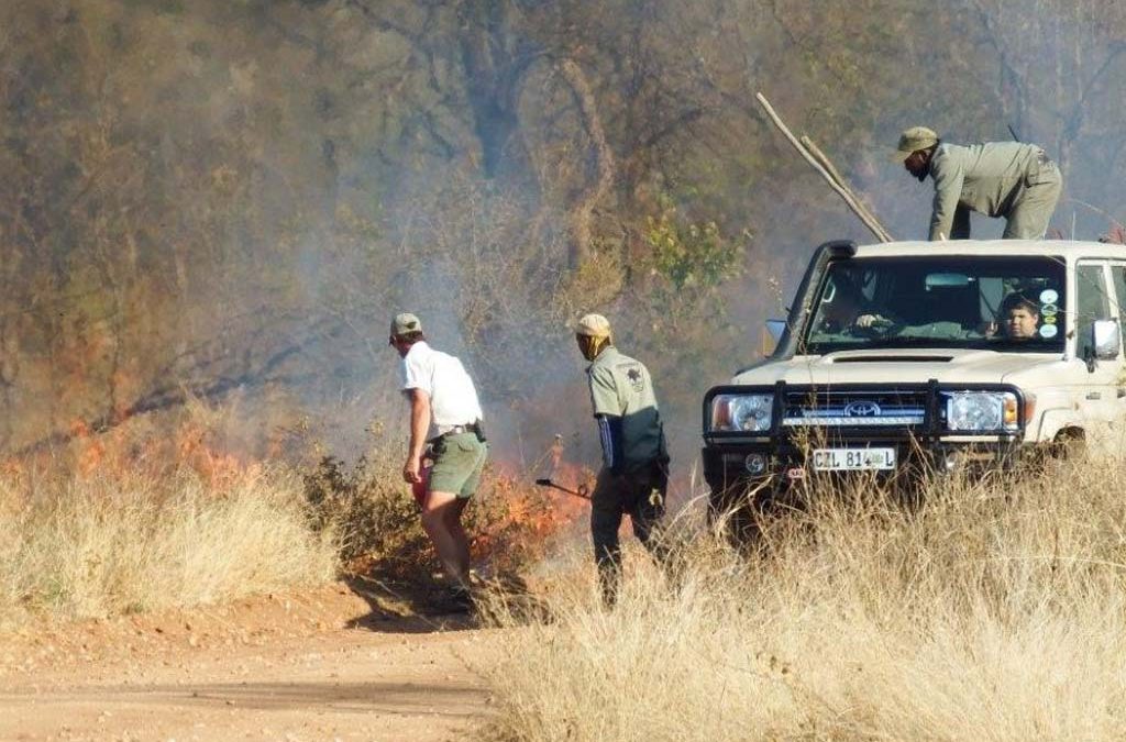 Fire ecology in Maseke-Balule Nature Reserve